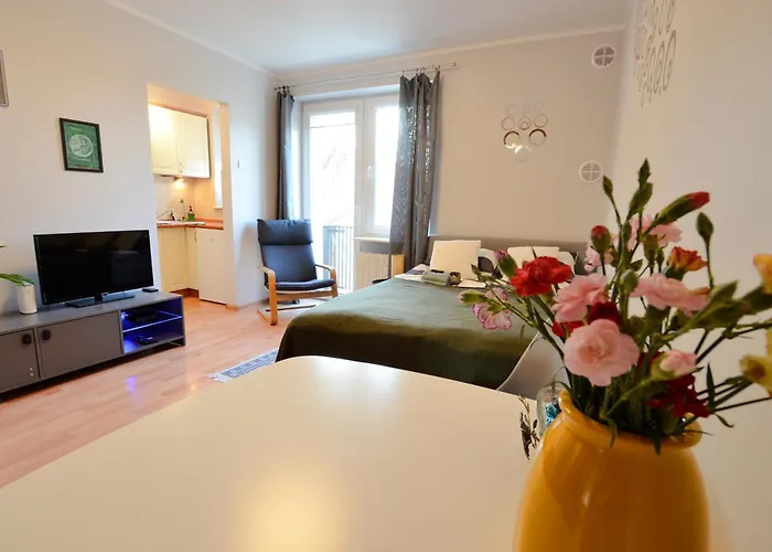 Apartment Near Old Town